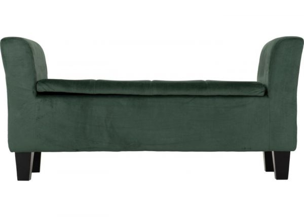 Amelia Storage Ottoman in Green by Wholesale Beds & Furniture Front