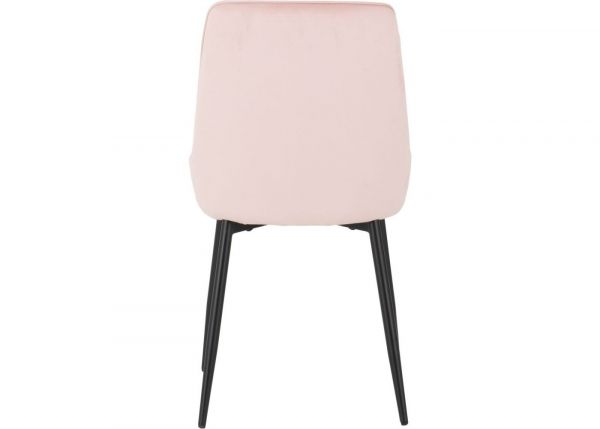 Baby Pink Velvet Avery Dining Chairs by Wholesale Beds & Furniture Back