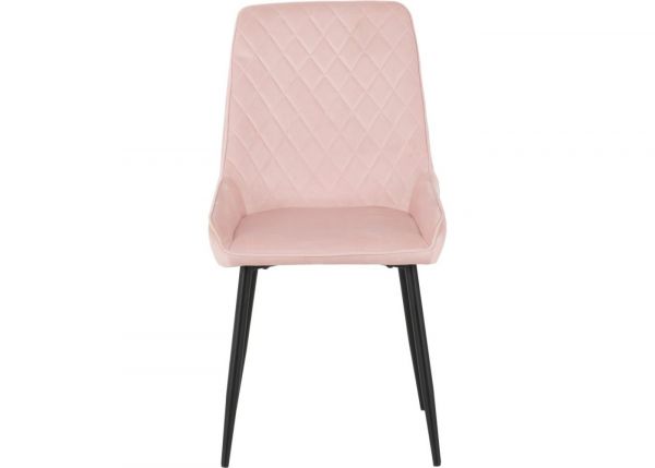 Baby Pink Velvet Avery Dining Chairs by Wholesale Beds & Furniture Front 