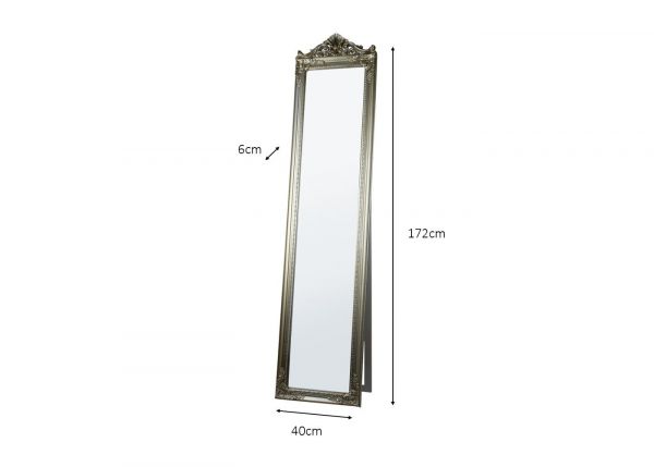 Chateau Cheval Mirror in Champagne by Tara Lane Dimensions